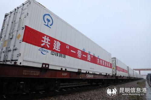 中老鐵路玉溪至萬象國際貨運冷鏈列車正式開行，助力跨境物流新發(fā)展